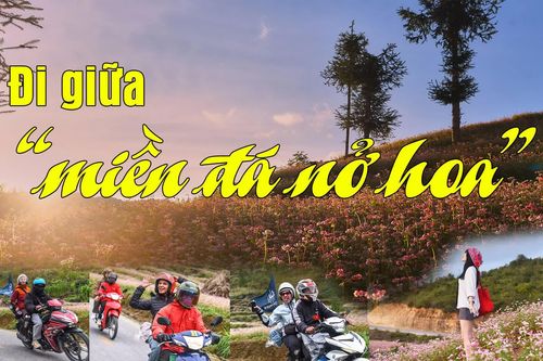 Đi giữa 'miền đá nở hoa'
