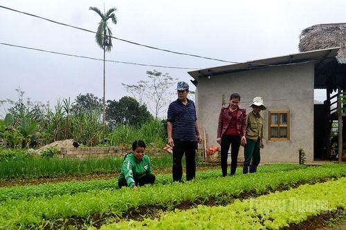Toàn tỉnh có 135 câu lạc bộ liên thế hệ tự giúp nhau