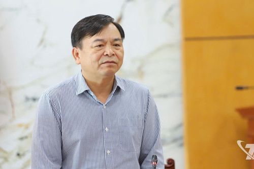 Triển khai dự án chống ngập trung tâm tỉnh theo hướng quản trị rủi ro, thuận thiên có kiểm soát