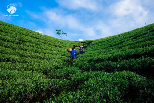 Thái Nguyên: Phân bổ hơn 270 tỷ đồng cho công tác giảm nghèo