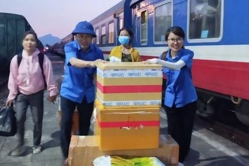 Tăng cường phân quyền, phân cấp quản lý Nhà nước về đường sắt