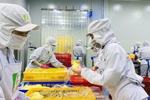 Kim ngạch thương mại giữa Việt Nam - Trung Quốc đã đạt hơn 208 tỷ USD, vượt năm 2024