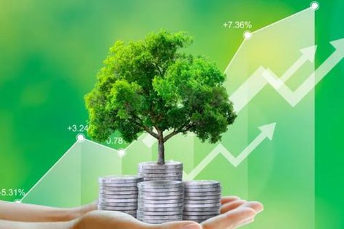 Thủ tướng yêu cầu sớm trình quy định gói lãi suất 2% cho dự án xanh, tuần hoàn