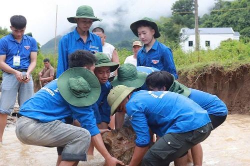 Ánh lửa xung kích Bài 1: Tuổi trẻ Sơn La kiến tạo 81km hệ thống chiếu sáng bằng năng lượng mặt trời