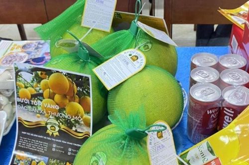 Thực hiện Chương trình OCOP ở Hà Nội: Xã Đan Phượng tạo ra sức bật mới cho kinh tế nông thôn