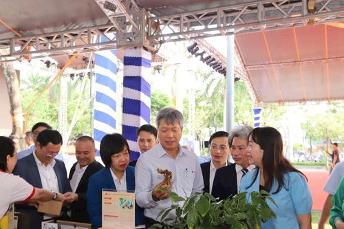 Đà Nẵng: Thúc đẩy khởi nghiệp và đổi mới sáng tạo trong nông nghiệp – dược liệu