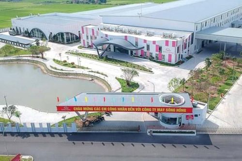 Kết quả kinh doanh khởi sắc, May Sông Hồng (MSH) dự chi 450 tỷ đồng tiền trả cổ tức