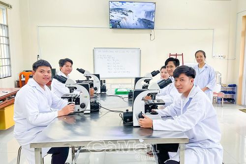 Đào tạo nghề thích ứng thời chuyển đổi số