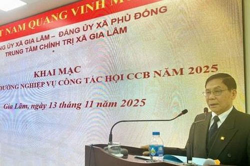 240 cán bộ, hội viên cựu chiến binh các xã Gia Lâm, Phù Đổng được bồi dưỡng nghiệp vụ