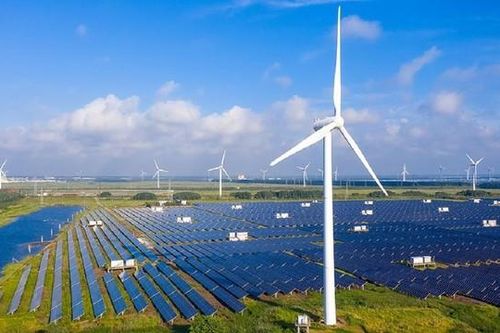 Điện gió Phước Hữu - Duyên Hải 1 công bố thông tin sai lệch