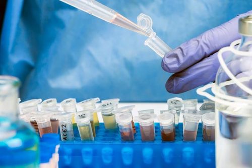 Loại virus hoang dại trở lại Châu Âu sau hàng chục năm, WHO cảnh báo