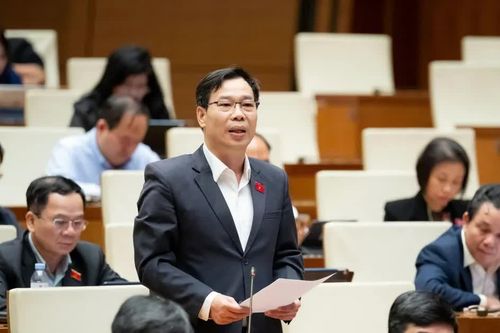 Đại biểu Quốc hội: Chờ hỗ trợ từ ngân sách sẽ lỡ 'thời điểm vàng' xử lý khủng hoảng bảo hiểm tiền gửi