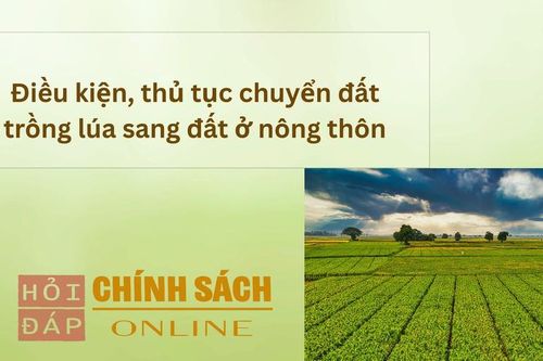Điều kiện, thủ tục chuyển đất trồng lúa sang đất ở nông thôn