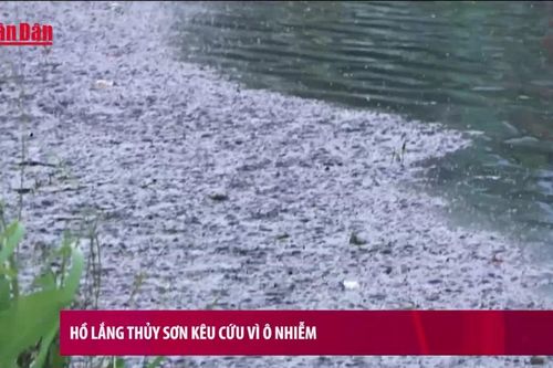 Hồ lắng Thủy Sơn kêu cứu vì ô nhiễm