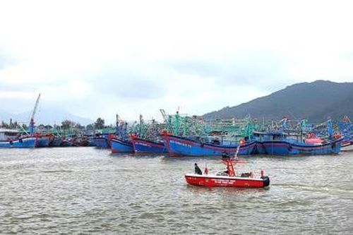 Đưa Đà Nẵng trở thành Trung tâm dịch vụ nghề cá của miền Trung