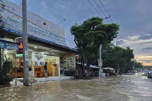 Vĩnh Long đề xuất nhiều giải pháp chống ngập do triều cường
