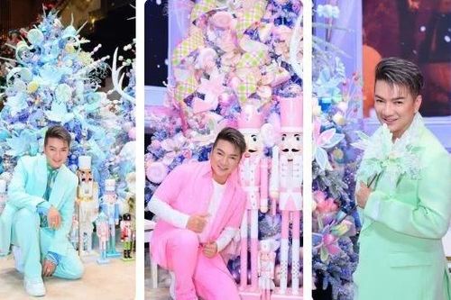 Đàm Vĩnh Hưng khoe nhà triệu đô lung linh như trời Âu trong mùa Noel cuối cùng