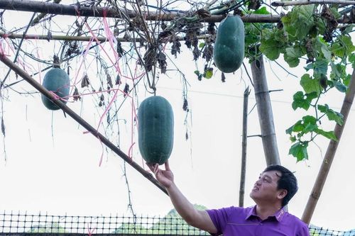 Đa dạng sinh kế, giảm nghèo ở xã biên giới Đình Phong