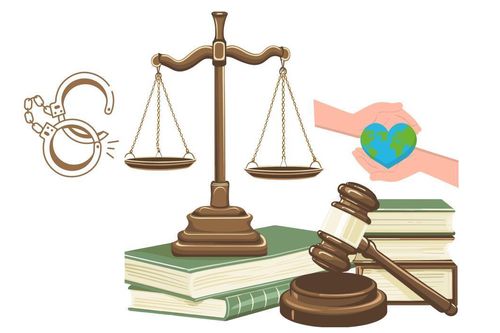 Cơ sở của việc sửa đổi, bổ sung hình phạt tử hình trong Bộ luật Hình sự năm 2015 sửa đổi, bổ sung năm 2025