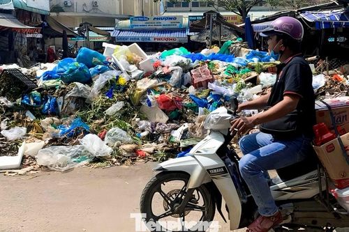 Đà Nẵng: Rác thải ùn ứ sau mưa lũ, dân khốn khổ vì mùi hôi