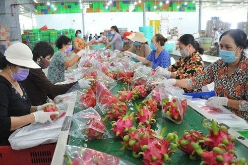 Quy định mới về truy xuất sản phẩm của Trung Quốc tác động gì tới hàng Việt?