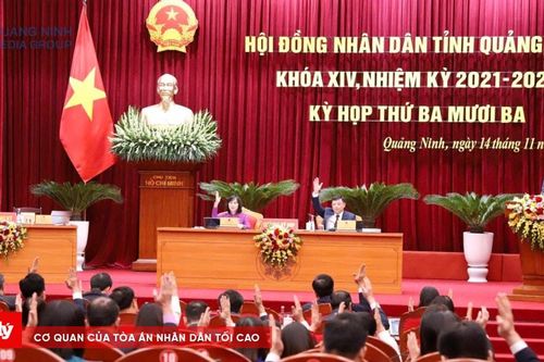 Quảng Ninh thông qua chính sách sữa học đường, quà Tết và học phí mới
