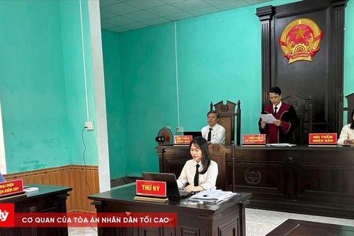 Lĩnh án vì làm sổ đỏ giả để lừa đảo