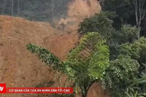 Sạt lở đất bất ngờ, lực lượng chức năng khẩn trương kiểm tra ứng phó