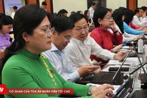Lý do TP.CHM dừng bồi thường, giải phóng mặt bằng Khu Liên hợp TDTT Rạch Chiếc