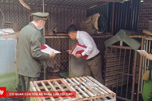 Hơn 4.000 cá thể động vật hoang dã bị nuôi nhốt trái phép
