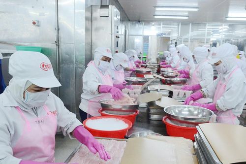 Đồng Tháp tăng tốc công nghiệp, hướng tới nền kinh tế xanh và bền vững