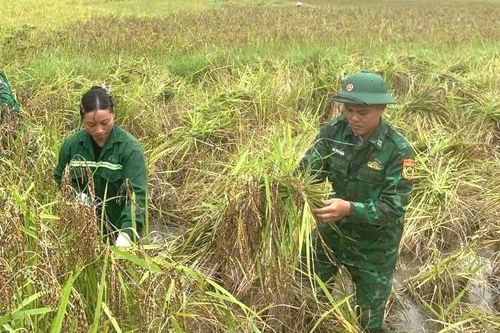 Bộ đội Biên phòng cùng đồng bào biên giới dựng xây nông thôn mới