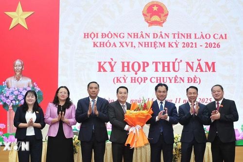 Ông Nguyễn Tuấn Anh được bầu giữ chức Chủ tịch UBND tỉnh Lào Cai