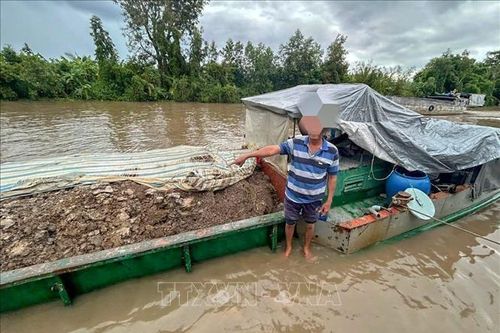 Hai người bị phạt 50 triệu đồng vì khai thác đất trái phép