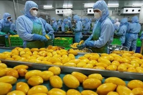 Khuyến cáo doanh nghiệp cập nhật quy định mới của Trung Quốc về xuất khẩu thực phẩm