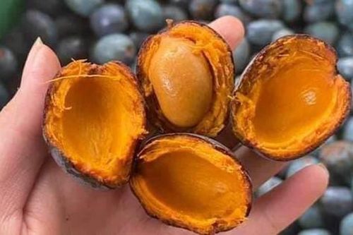 Thứ quả xanh đen là đặc sản chỉ Phú Thọ mới có, rẻ tiền nhưng khó mua