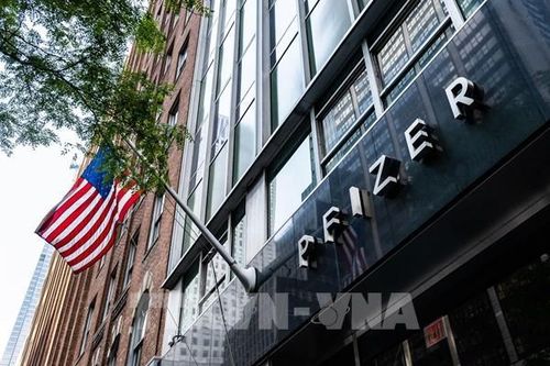 Pfizer hoàn tất thương vụ 10 tỷ USD mua lại Metsera