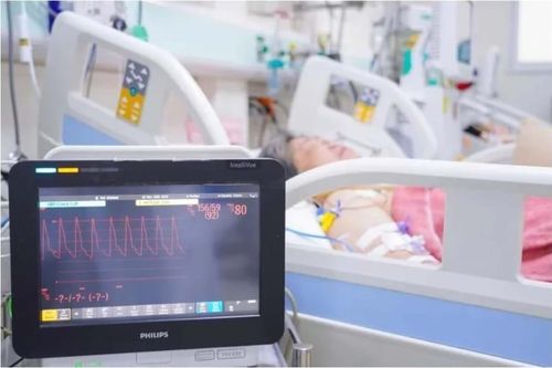 Từ vụ hàng trăm người nhập viện sau khi ăn bánh mỳ: TP.HCM tăng cường kiểm tra an toàn thực phẩm