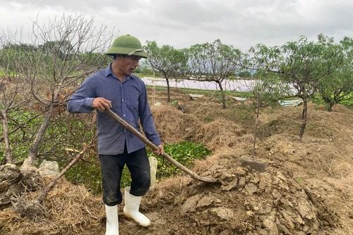 Nông dân Quảng Chính gồng mình sau bão