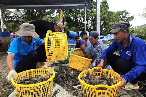 Nghề tay trái lúc nông nhàn