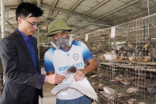 Cẩm Lý: Hỗ trợ chuyển đổi nghề, trao sinh kế cho hộ nghèo