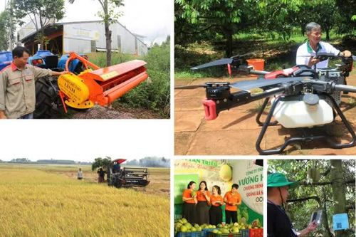 [Loạt Megastory] 'Tam nông' Đồng Nai trong hành trình xanh, bền vững (Kỳ cuối)