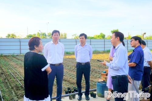Phó Chủ tịch UBND tỉnh Huỳnh Minh Tuấn kiểm tra công tác chuẩn bị Festival Hoa - Kiểng lần II