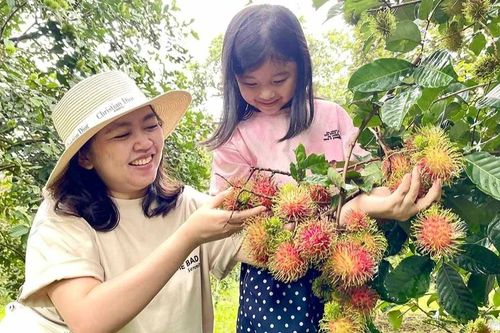 Khi sản xuất nông nghiệp trở thành trải nghiệm du lịch