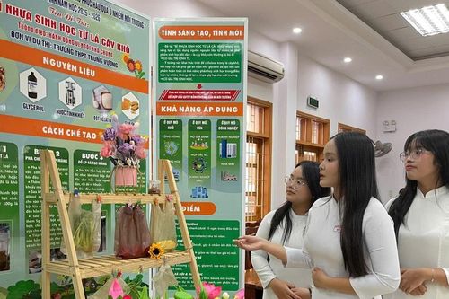 Trao giải Hội thi giải pháp bảo vệ môi trường tỉnh Gia Lai năm học 2025-2026