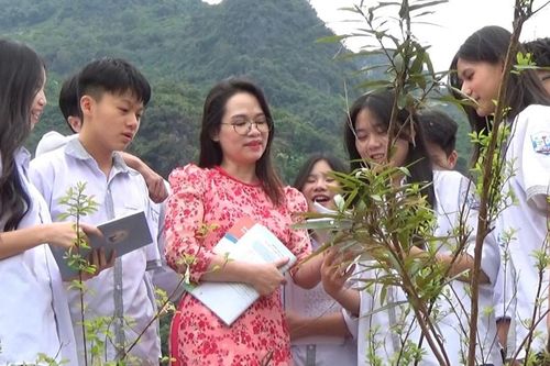Dấu ấn trường xưa