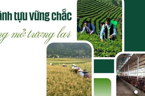 Thành tựu vững chắc - rộng mở tương lai