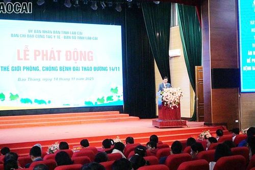Lễ phát động Ngày thế giới phòng, chống bệnh đái tháo đường năm 2025