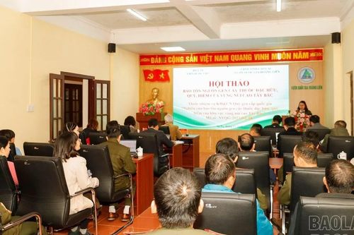Hội thảo 'Bảo tồn nguồn gen cây thuốc đặc hữu, quý, hiếm của vùng núi cao Tây Bắc'