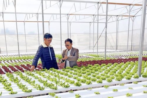 Ngành nông nghiệp Lâm Đồng rộng mở cơ hội phát triển